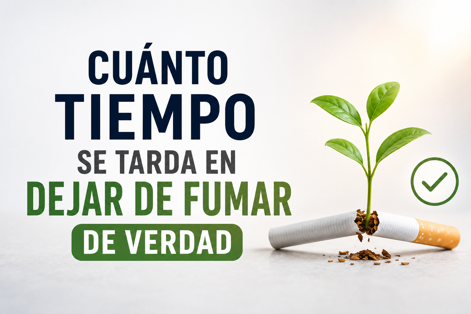 Cuánto Tiempo se Tarda en Dejar de Fumar de Verdad